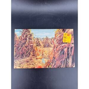 Vintage Tuco Puzzle - Pumpkin & Corn